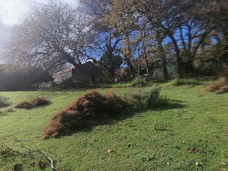 0 Bedroom Property for Sale in Napier Western Cape
